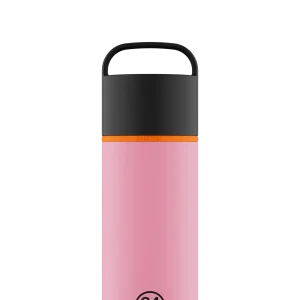 24BOTTLES - SPIN BOTTLE FLAMINGO 730ML
