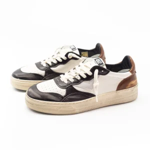 4B12 - HYPER BISCUIT