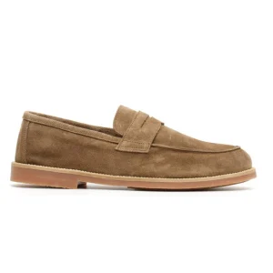 7768CAMOSCIO LIQUIRICE